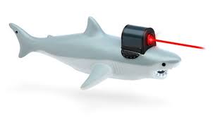 shark with frickin laser pointer