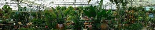 Garden Center Nursery In Richmond Va