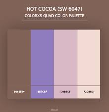 Sherwin Williams Hot Cocoa Sw 6047