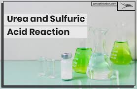 Urea And Sulfuric Acid Reaction Amoot