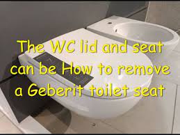 How To Remove A Geberit Toilet Seat