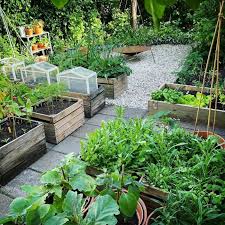 Container Vegetable Garden Ideas