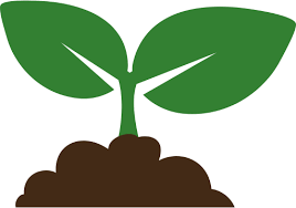 Seedling Icon Png And Svg Vector Free