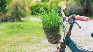 Design Ideas Flower Garden Decoration