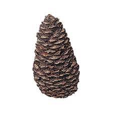 Refractory Ceramic Pine Cone Large