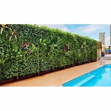 Vertical Garden At Rs 500 Square Feet
