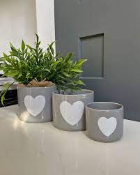 Grey Ceramic Plant Pot With White Heart