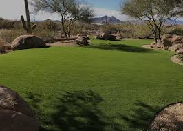 Phoenix At Arizona Artificial Lawns