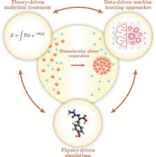 Biomolecular Condensates