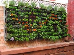 Diy Vertical Gardens A Vibrant