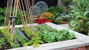 How To Start A Vegetable Garden Now