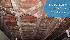 The Dangers Of Mold In Your Crawl Space