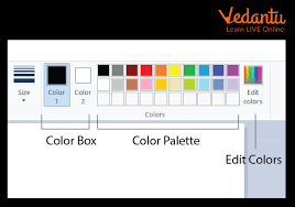 Ms Paint Learn Definition Examples