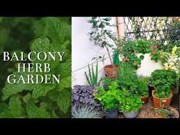 Part Shade Diy Small Herb Garden