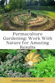 Permaculture Gardening For Amazing
