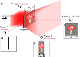 Convex Parabolic Mirror