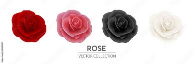 Vector 3d Realistic Flower Rose Icon