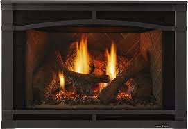 Gas Burning Fireplace Insert