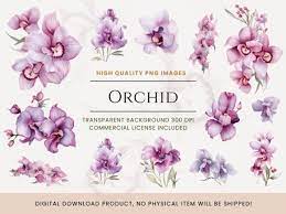 Watercolor Orchid Flowers Collection