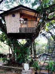 Tree House Designs