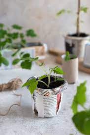Free Diy Seed Starter Pots With