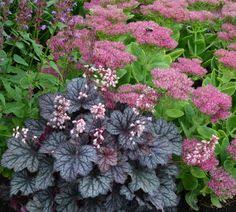 35 Dry Shade Garden Ideas Shade