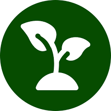 Diseases In Crossandra Cultivation