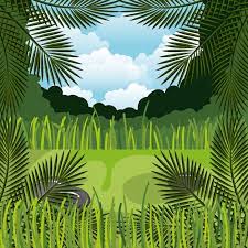 Jungle Landscape Background Isolated