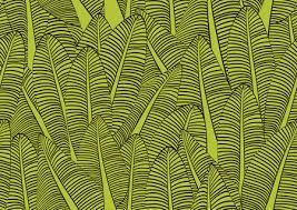 Banana Leaf Seamless Pattern Vector