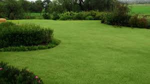 Affordable Lawn Care Services In Iowa