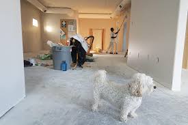 Dog Room Ideas 8 Easy Tips To Give