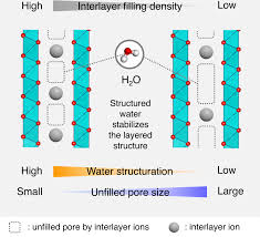 Water Structure Around Interlayer Ions