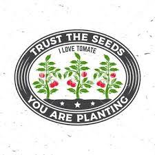 Trust The Seeds You Are Planting Garden