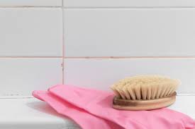 What Causes Pink Mold How To Get Rid