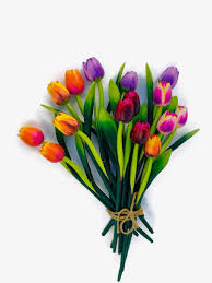 Mix Tulip Bouquet 5