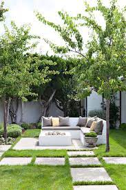 10 Spectacular Trees For Courtyards And