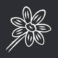 Bloom Icon Png Images Vectors Free