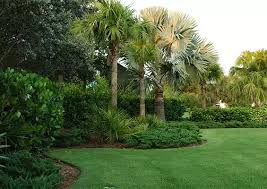 Sarasota Landscape Design Architects