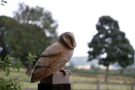 Barn Owl Sculpture Jennifer Tetlow