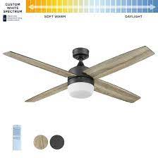 Indoor Color Changing Ceiling Fan