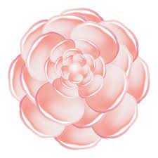 Light Pink Camellia Icon Cartoon Of