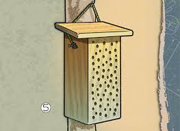 Build A Bee House For Solitary Bees