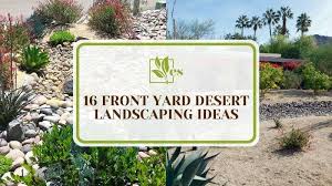 16 Front Yard Desert Landscaping Ideas