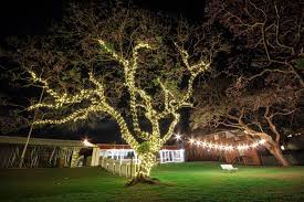 24v Low Voltage Led Fairy Lights