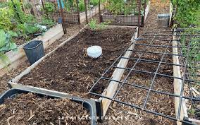 Best Way To Water Raised Bed Gardens