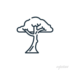 Linear Tree Outline Icon Isolated