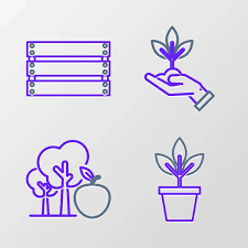 Plant Icons Vector Images