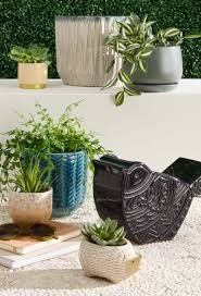 Plant Pots Planters Perfect For The
