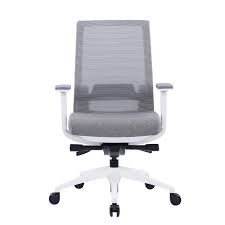 Icon Q2 Mesh Back Task Chair
