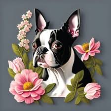 Boston Terrier Dog Fabric Wallpaper